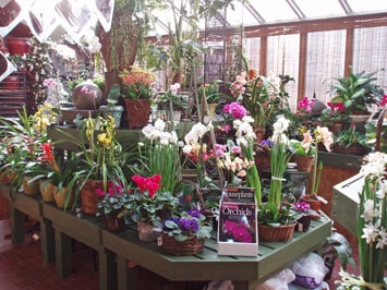 About Perennial Gardens, Inc - Bedford, NY Florist